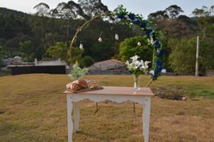 Plantas: imagem 6 de 15
